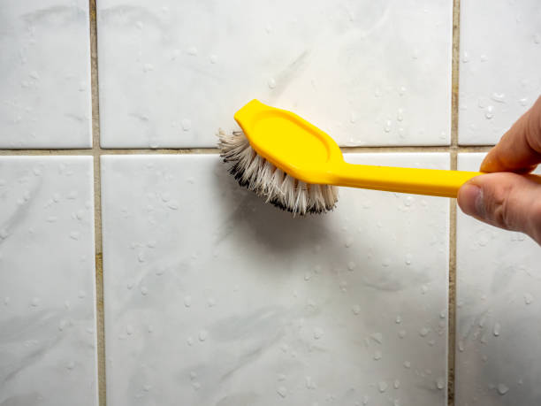 Best Kitchen Mold Remediation in Fairview, MT
